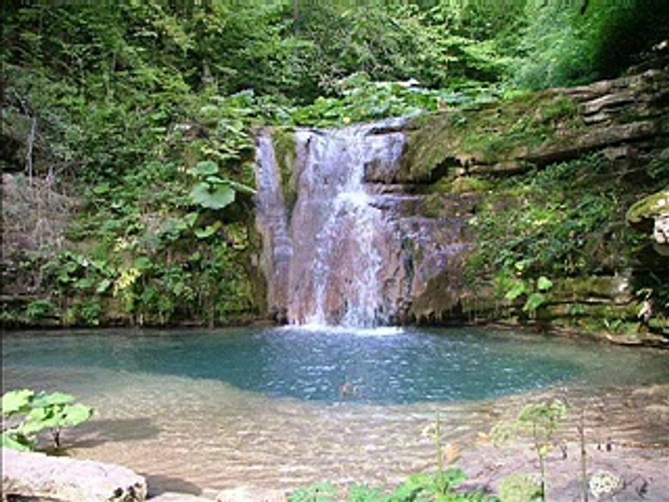 Ayşe Tunalı - Rüyalarım Olmasa