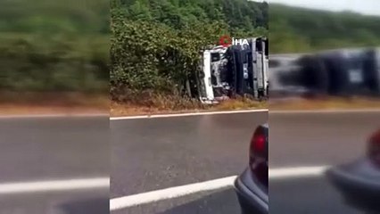 Beton mikseri fındık tarlasına devrildi: Sürücü yaralandı