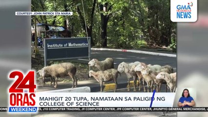 Mahigit 20 tupa, namataan sa paligid ng College of Science sa UP Diliman | 24 Oras Weekend