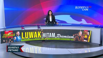Serba-Serbi Pengibaran Bendera One Piece Jelang 17 Agustus: Simbol Perlawanan Rakyat?