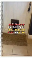 Fat body is very troublesome