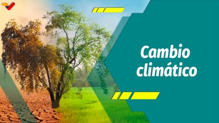 Punto Verde | ¿Cómo están relacionados el cambio climático y el uso de los suelos?