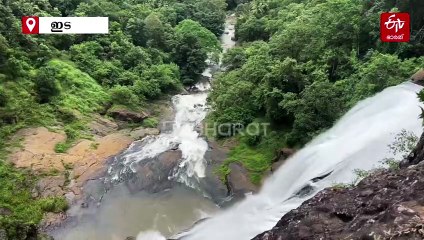 പവിഴമഴയിൽ പൊഴിയും പ്രണയം പോലെ മനോഹരം; പാൽനുരപോൽ ഒഴുകി 'തൂവൽ' വെള്ളച്ചാട്ടം