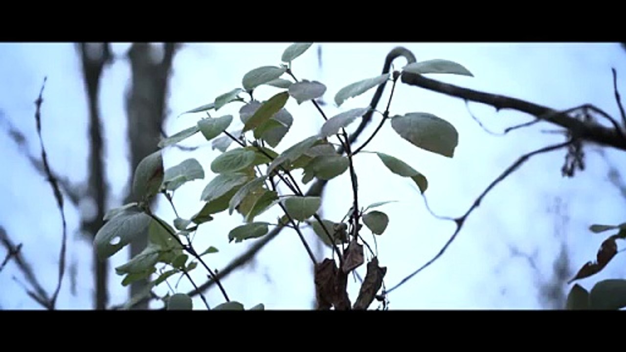 Best Action Movie Scenes of All Time” |Top Emotional Moments in Movies” |Hollywood Movie Clips You Must See” |Funniest Movie Scenes That Make You LOL” |Best Movie Kisses in Cinema History” |Unforgettable Villain Scenes in Movies” |Epic Fight Scenes from B