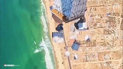 Birds of Goodness 🐦