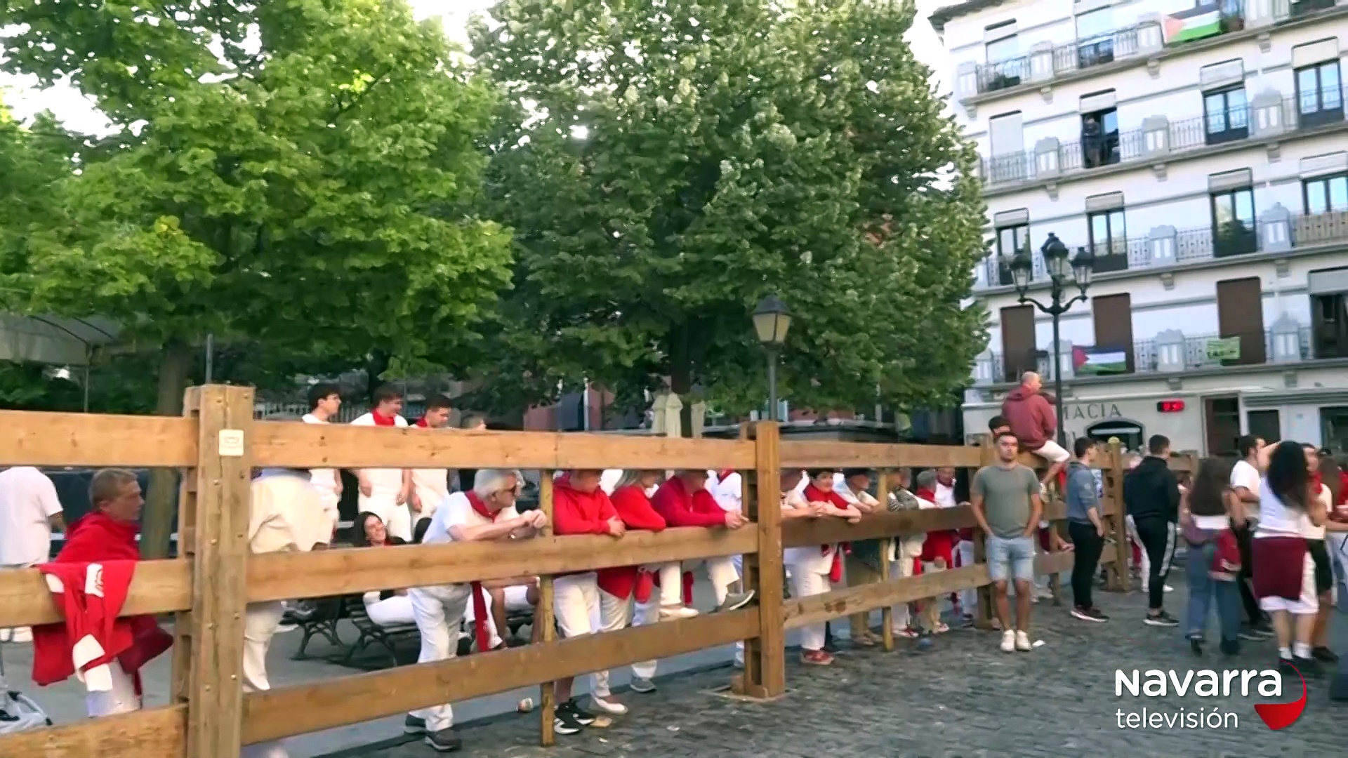 Aparatoso primer encierro de fiestas en Estella - Lizarra
