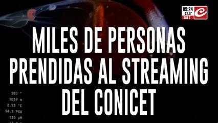 Furor por el fondo del mar: miles de personas prendidas al streaming del Conicet