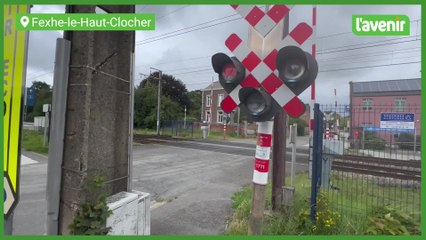 Deux chevaux tués par un train en Hesbaye liégeoise