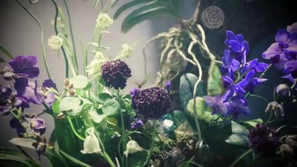 MEOVV(미야오) - ‘DROP TOP’ M_V