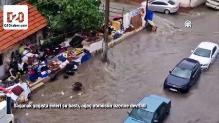 Sağanak yağışta evleri su bastı, ağaç otobüsün üzerine devrildi