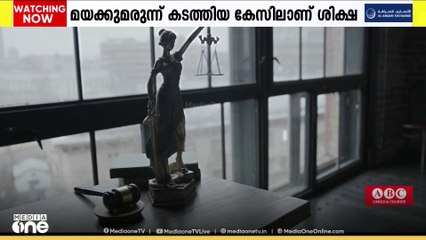 രാജ്യത്തേക്ക് മയക്കുമരുന്ന് കടത്തിയ കേസില്‍ 7‌ വിദേശികളുടെ വധശിക്ഷ നടപ്പിലാക്കി സൗദി