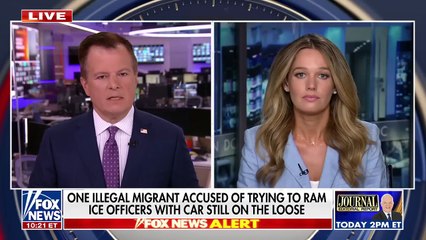 Tricia McLaughlin rips Dem_s lawsuit against ICE_ _Political theater_