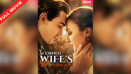 Scorned Wife's Revenge