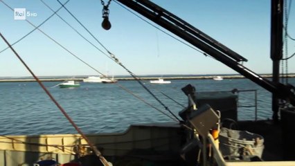 [Arte]  EDWARD HOPPER, LA TELA BIANCA      (Jean-Pierre Devillers; Francia; 2012)