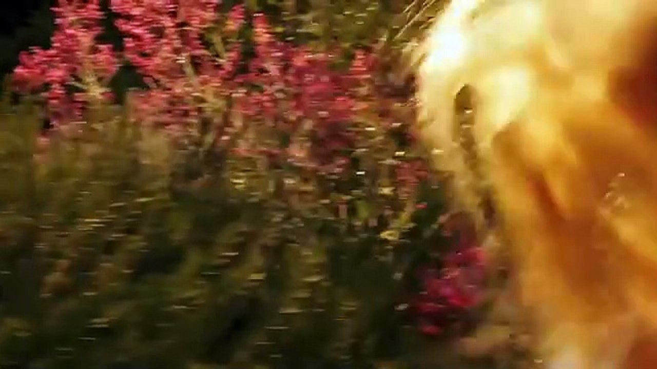 Scream At the Devil Intense Exorcism Thriller