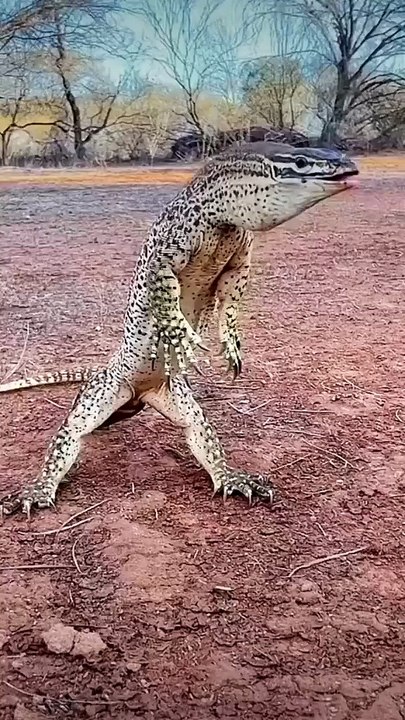 Amazing wildlife
