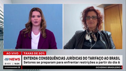 “EUA não pode interferir nos Três Poderes do Brasil”, diz professora