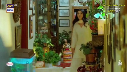 مسلسل شير زمان الحلقة 20 العشرون مترجمة