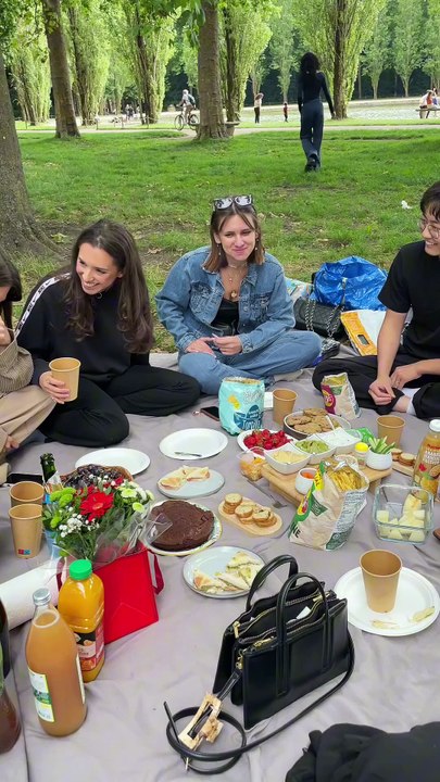 Vlog Pic Nic