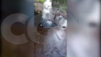 Internautas registram Peladão do Ecopark Sul dentro de córrego