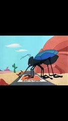 Soup or Sonic - Road Runner (1980)