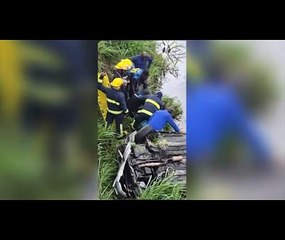 WOMAN DIES IN TOBAGO CRASH