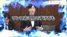 【小野田紀美】外国人スクラップヤードの不正が深刻