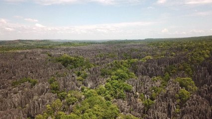 Les avions du bout du monde