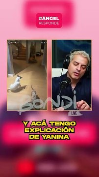 Yanina Latorre se refirió a la supuesta separación de Diego Latorre