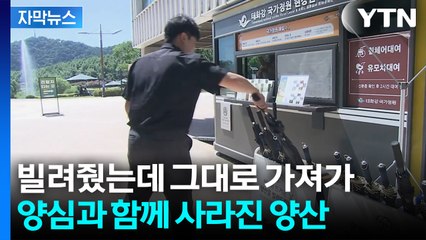 [자막뉴스] "시민의 양심에 맡긴다"... 기대와 달리 '씁쓸한 결과' / YTN