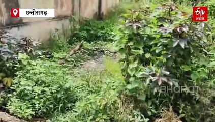 डॉक्टर एंबुलेंस चलाकर मरीजों को पहुंचा रहे अबूझमाड़ में अस्पताल