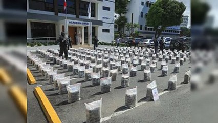 Confiscan más de un millón de gramos de drogas en julio, dice DNCD