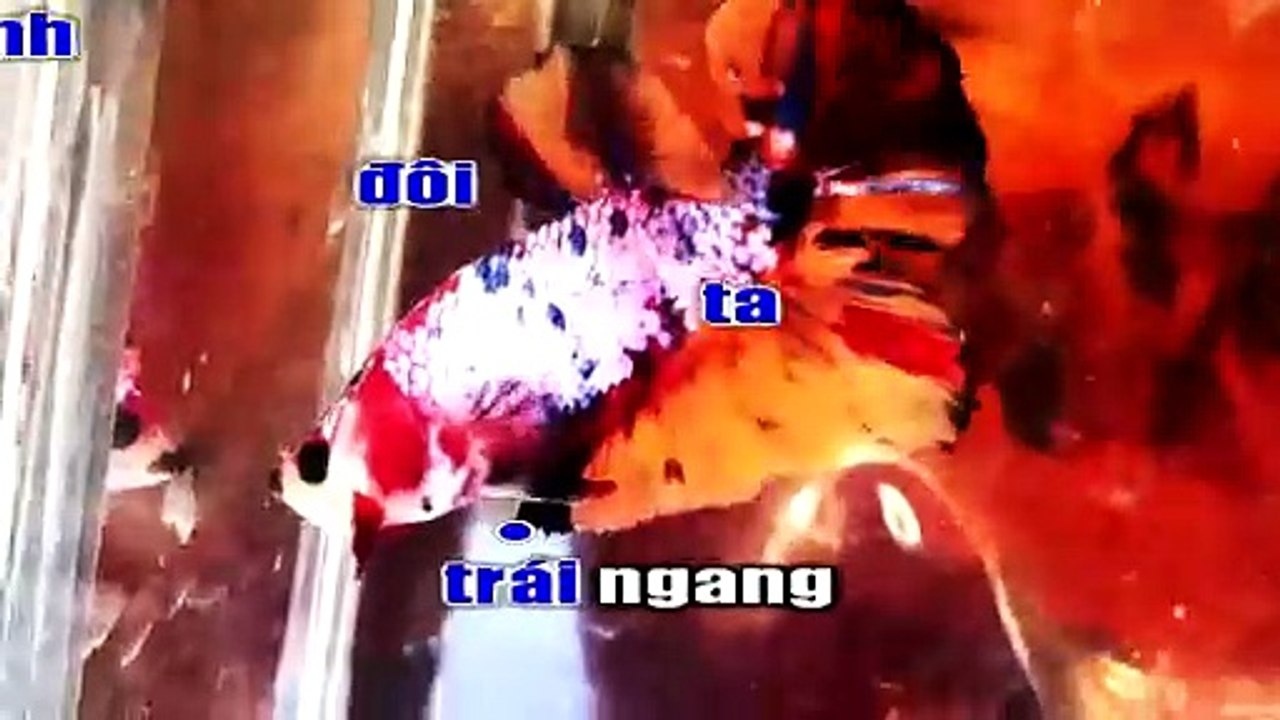 Mux250718203402