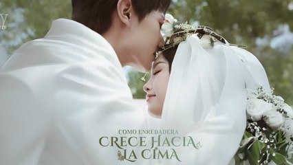 Como Enredadera, Crece hacia la Cima