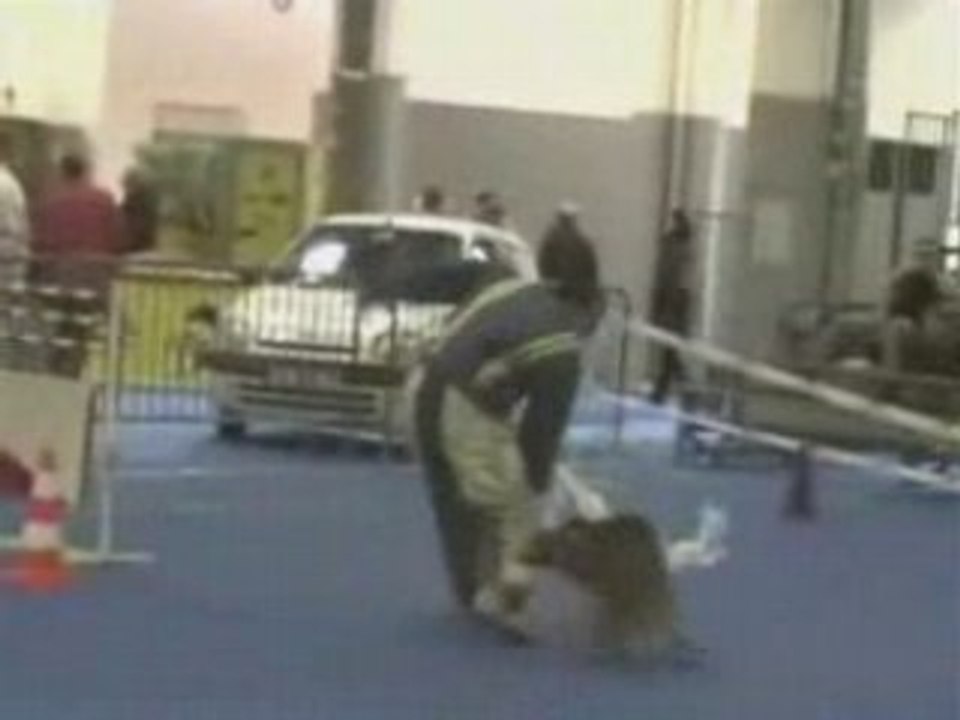 chien d inter de la police vs homme d attaque de ring niv 2