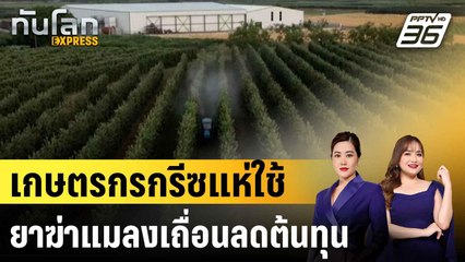 ยาฆ่าแมลงเถื่อนระบาดในกรีซหลังเกษตรกรแห่ใช้หวังลดต้นทุน  |ทันโลก EXPRESS | 3 ส.ค.68