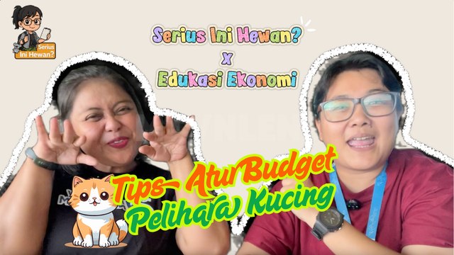 Tips Atur Budget Pelihara Kucing-Serius Ini Hewan?