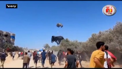 Supplying food to gaza