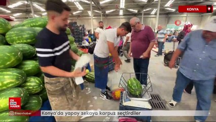 Konya'da yapay zekaya karpuz seçtirdiler