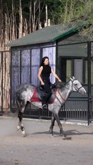 entertainment video horse ride beautiful girl