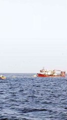 #fishing#sailing#fishingboat#fishinglife#discover#adventure