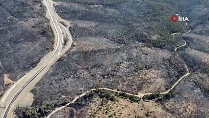 Yanan 3 bin hektar orman için 100 yıl gerekiyor