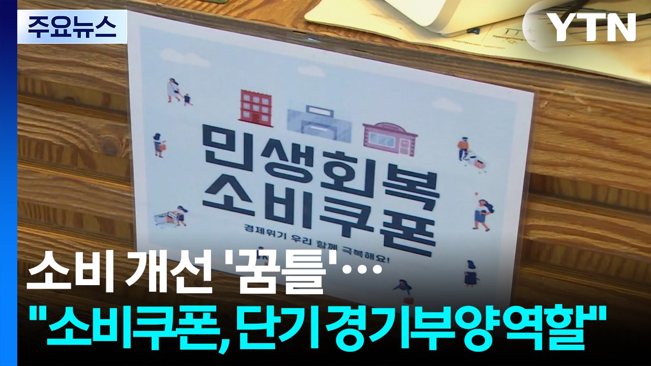 소비 개선 '꿈틀'..."소비쿠폰, 단기 경기부양 역할" / YTN