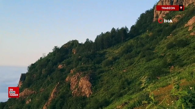 Trabzon'da 'Bulut Denizi' görenleri kendine hayran bırakıyor