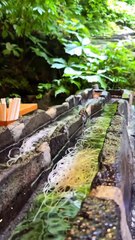 夏にぴったりの山奥で食べる流しそうめん！  コスパも良くてめちゃ美味くて最高だったよ！