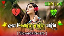 প্রেম শিখাইয়া ছাইড়া যাইবা 💔 | Prem Shikhiya Chaiya Jaiba | Emotional Breakup Bangla Video 2025