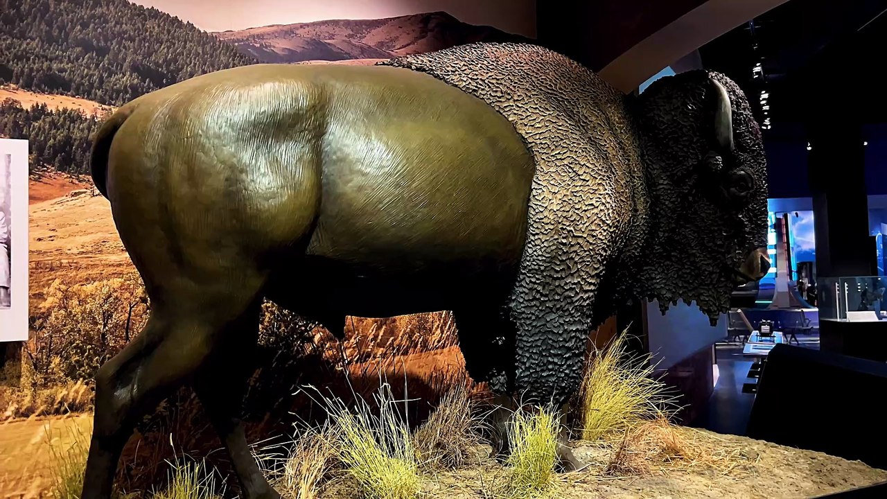 Grace at the Arch - St. Louis, Missouri - July 30, 2025