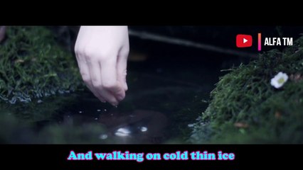 Alan Walker, K-391 & Emelie Hollow - Lily (Lyrics) - Video by _ Five Knights Productions