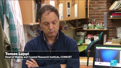 Mar del Plata Canyon: underwater robot live stream draws over a million viewers per day