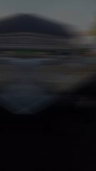 Maigre retour, mais c'est le jeu..  #gaming #brocante #videgrenier #collection